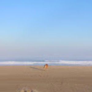 Meet your Posher, Abbie